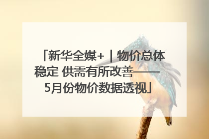 新华全媒+｜物价总体稳定 供需有所改善——5月份物价数据透视