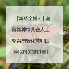 新华全媒+丨濒危物种绿孔雀人工繁育与野化放归试验取得关键进展