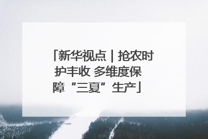 新华视点｜抢农时 护丰收 多维度保障“三夏”生产
