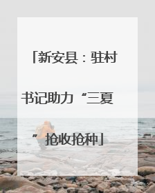 新安县：驻村书记助力“三夏”抢收抢种