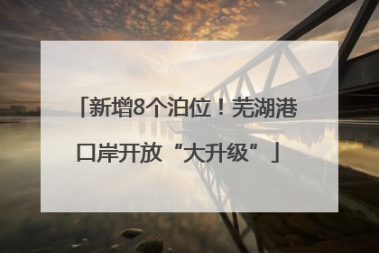 新增8个泊位！芜湖港口岸开放“大升级”