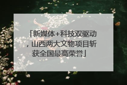 新媒体+科技双驱动，山西两大文物项目斩获全国最高荣誉