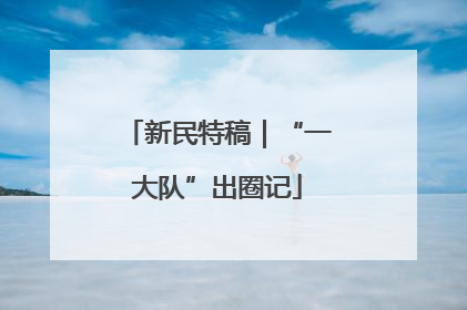 新民特稿｜“一大队”出圈记