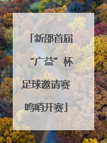 新邵首届“广益”杯足球邀请赛鸣哨开赛