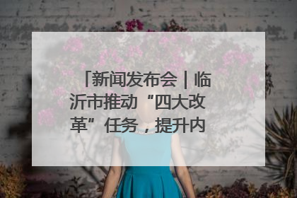 新闻发布会|临沂市推动“四大改革”任务,提升内部审计监督效能