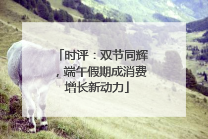 时评：双节同辉，端午假期成消费增长新动力