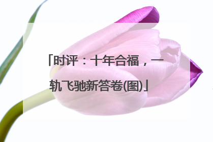 时评：十年合福，一轨飞驰新答卷(图)