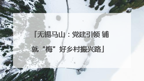 无锡马山：党建引领 铺就“梅”好乡村振兴路
