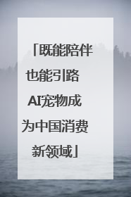 既能陪伴也能引路 AI宠物成为中国消费新领域