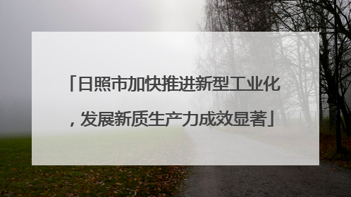 日照市加快推进新型工业化，发展新质生产力成效显著