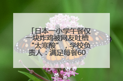 日本一小学午餐仅一块炸鸡被网友吐槽“太寒酸”，学校负责人：满足每餐600千卡的标准