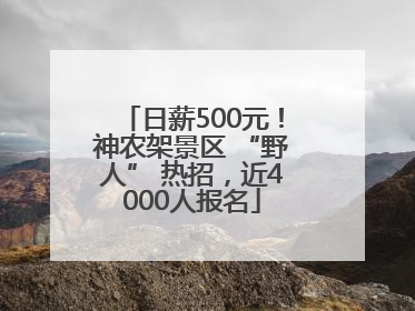 日薪500元！神农架景区 “野人” 热招，近4000人报名