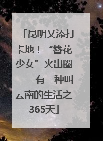 昆明又添打卡地！“簪花少女”火出圈——有一种叫云南的生活之365天