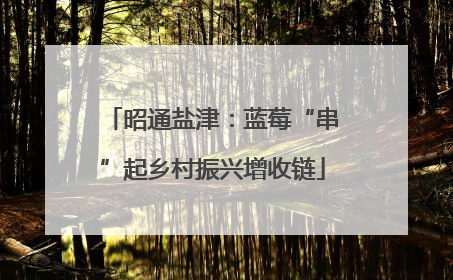 昭通盐津：蓝莓“串”起乡村振兴增收链