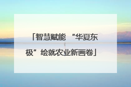智慧赋能 “华夏东极”绘就农业新画卷