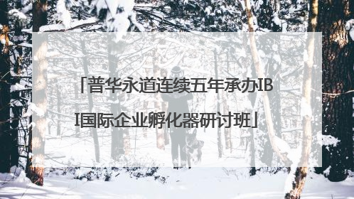普华永道连续五年承办IBI国际企业孵化器研讨班