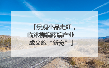 景观小品走红，临沭柳编藤编产业成文旅“新宠”