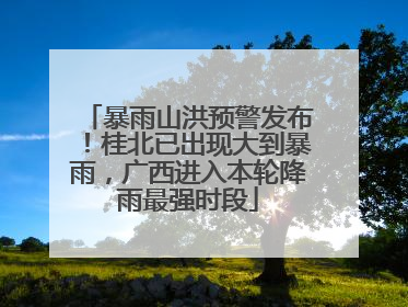 暴雨山洪预警发布！桂北已出现大到暴雨，广西进入本轮降雨最强时段