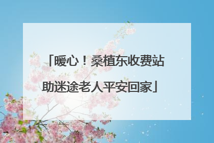 暖心！桑植东收费站助迷途老人平安回家