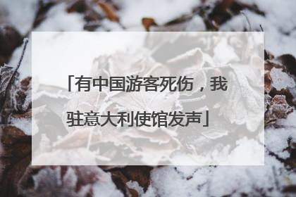 有中国游客死伤，我驻意大利使馆发声