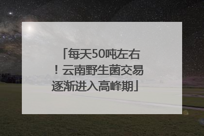 每天50吨左右！云南野生菌交易逐渐进入高峰期