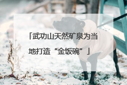 武功山天然矿泉为当地打造“金饭碗”