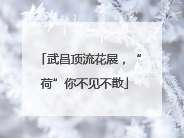 武昌顶流花展，“荷”你不见不散