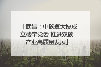 武昌：中碳登大厦成立楼宇党委 推进双碳产业高质量发展