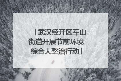 武汉经开区军山街道开展节前环境综合大整治行动