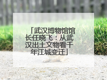 武汉博物馆馆长任晓飞：从武汉出土文物看千年江城变迁