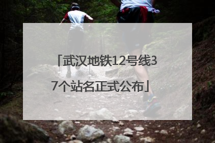 武汉地铁12号线37个站名正式公布