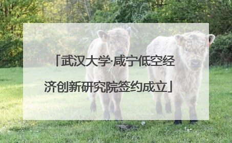 武汉大学·咸宁低空经济创新研究院签约成立