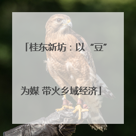 桂东新坊：以“豆”为媒 带火乡域经济