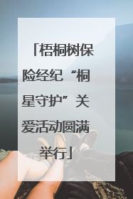 梧桐树保险经纪“桐星守护”关爱活动圆满举行