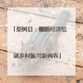 梨树县：棚膜经济绘就乡村振兴新画卷