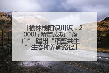 榆林榆阳镇川镇：2000斤蟹苗成功“落户” 蹚出“稻蟹共生”生态种养新路径