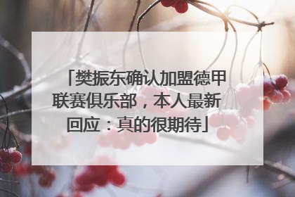 樊振东确认加盟德甲联赛俱乐部，本人最新回应：真的很期待