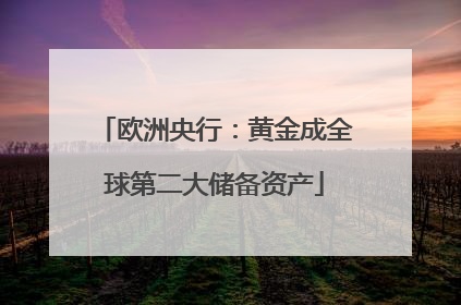 欧洲央行：黄金成全球第二大储备资产