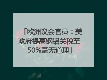 欧洲议会官员：美政府提高钢铝关税至50%毫无道理