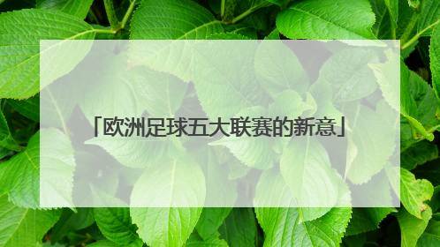 欧洲足球五大联赛的新意