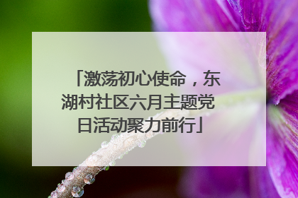 激荡初心使命，东湖村社区六月主题党日活动聚力前行
