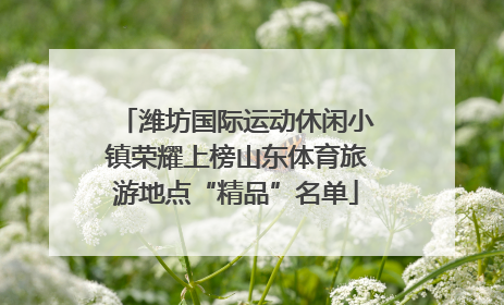 潍坊国际运动休闲小镇荣耀上榜山东体育旅游地点“精品”名单