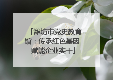 潍坊市党史教育馆：传承红色基因 赋能企业实干