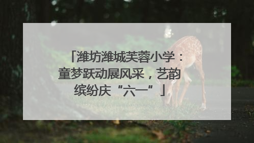 潍坊潍城芙蓉小学：童梦跃动展风采，艺韵缤纷庆“六一”