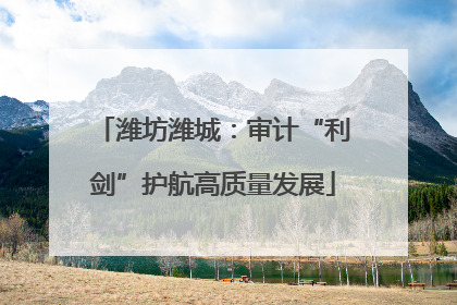 潍坊潍城：审计“利剑”护航高质量发展