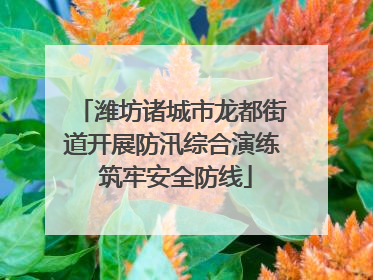 潍坊诸城市龙都街道开展防汛综合演练 筑牢安全防线