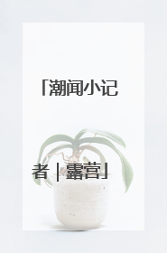 潮闻小记者｜露营