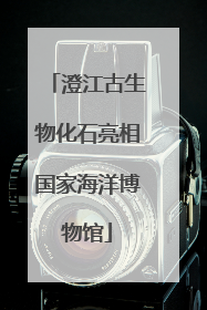 澄江古生物化石亮相国家海洋博物馆