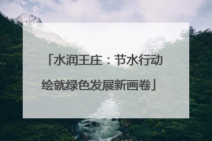 水润王庄：节水行动绘就绿色发展新画卷