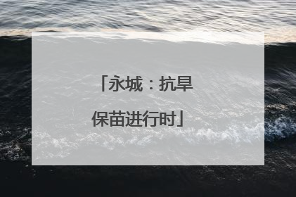 永城：抗旱保苗进行时
